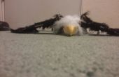 Águila calva con 3d impreso cabeza