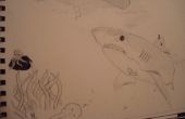 Tiburón dibujo