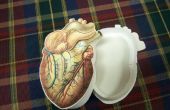 Caja en forma de corazón anatómica (por su única pareja.) 