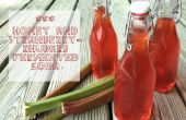 Miel y fresa-ruibarbo fermentan Soda
