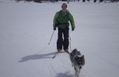 Cómo día de esquí con su perro