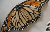 Mariposa monarca Walkalong Glider