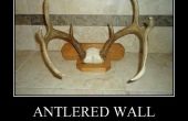 Ciervos de whitetail Astado montaje en pared