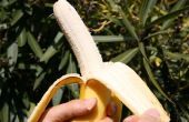 Cómo comer un plátano como un mono