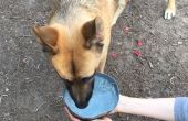 Tazón de fuente de agua portátil plegable perro