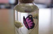 Púrpura mariposa collar de botella