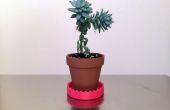Mini 3D impreso platillo por debajo de su Mini jardinera/Pot