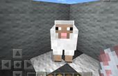 Meditación de ovejas en Minecraft! 