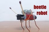 Cómo hacer un robot escarabajo