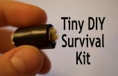 Mundos más pequeño DIY Kit de supervivencia