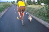 Paseador de perros en bicicleta