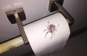 Araña en broma papel higiénico