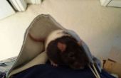 Crear una rata hamaca con un Toms bolsa de transporte