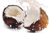 Consumir un coco entero: 9 productos - cero desechos! 