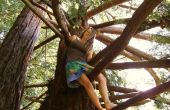 Árbol de escalada con una falda