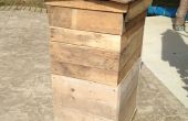 Hacer una colmena de abeja miel de viejos patines de madera