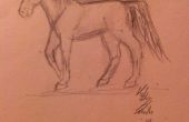 Cómo dibujar un caballo Simple