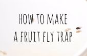 Trampa mosca de la fruta fácil
