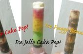 Hielo bricolaje Cake Push Pops! Variaciones deliciosas!!!!!! 