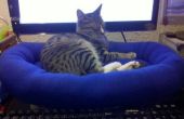 Medida cama de gato