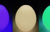 Super huevo brillante simple