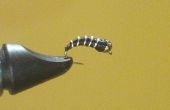 Pesca con mosca: Cómo atar un jején zebra