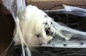 Escalofriante araña nido de placer Arachnophobic! 