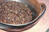 Cómo asar granos de café (y conejillo de Indias) fuego