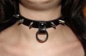 Collar BDSM