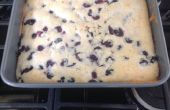 Blueberry Bake
