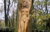 La forma femenina con Peter Boyd Woodcarving de talla de madera