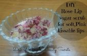 DIY exfoliante de azúcar rosa Lip para suaves, rosa y besables labios – remedios caseros