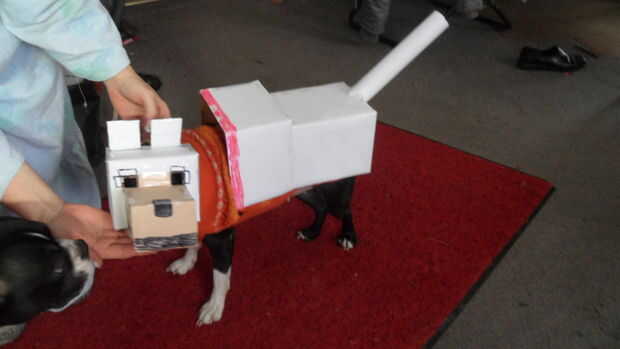 Dog Minecraft Costume
 Traje de perro de Minecraft askix