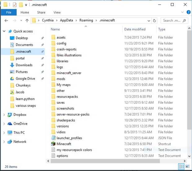 Appdata roaming minecraft bin