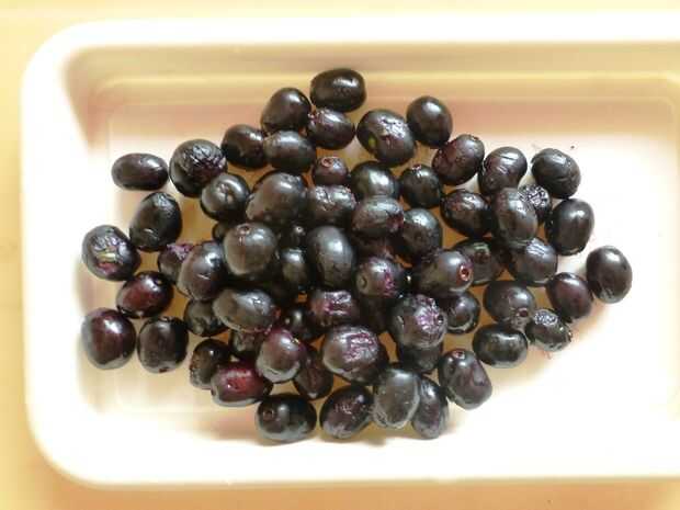 polvo de semillas de jamun diabetes mellitus