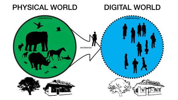 Physical world. Physical World vs Digital World.